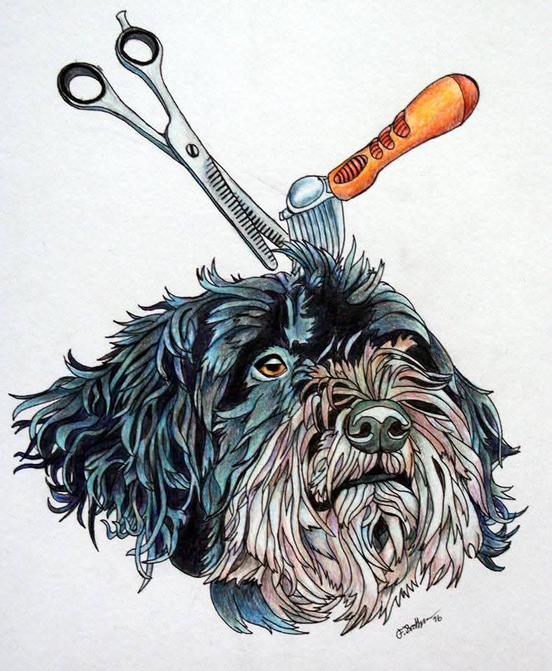 Illustration of dog being groomed
