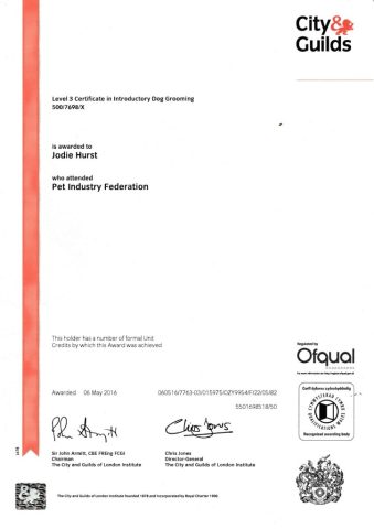 Certificate-2_page-0001