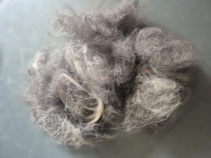 De-Shedding, a pile of removed dead hair